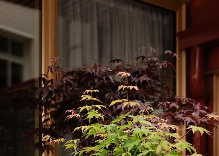 Hotel Skostredet & 5*